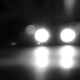 Illustration for article titled Why Deer Freeze in Your Headlights